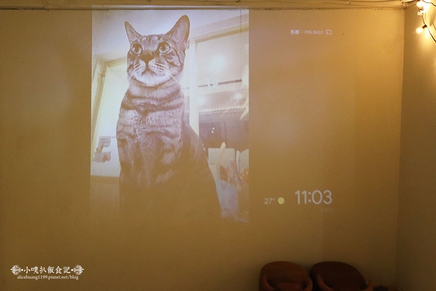 IMG_7721.jpg IMG_7721.jpg