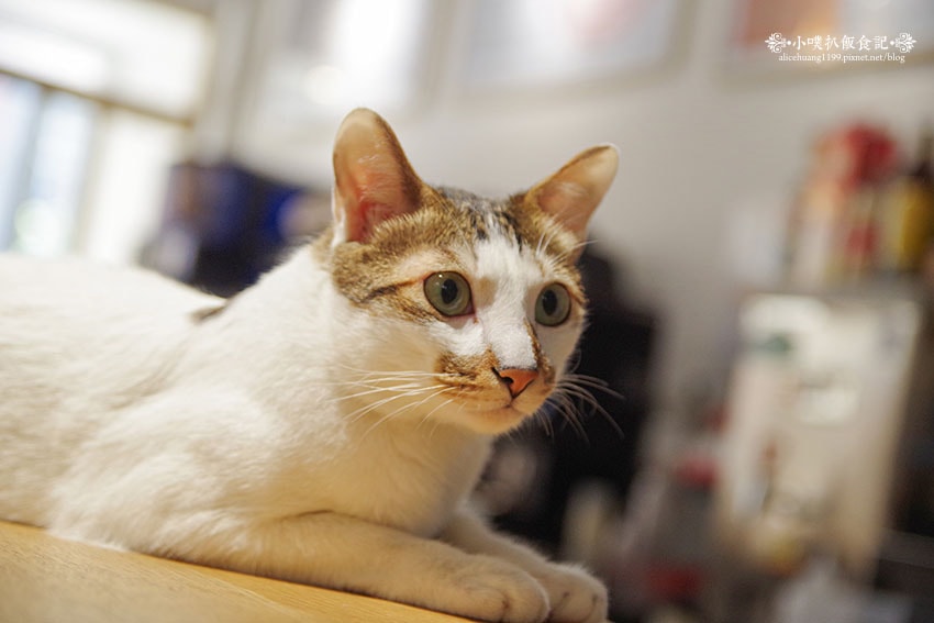 IMGP1693.jpg IMGP1693.jpg