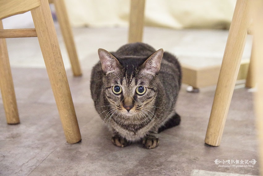 IMGP1685.jpg IMGP1685.jpg