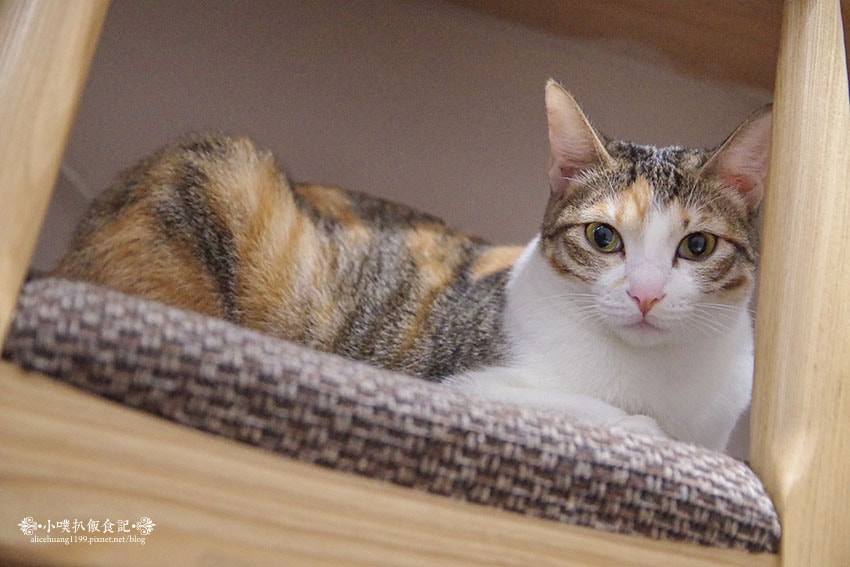 IMGP1696.jpg IMGP1696.jpg