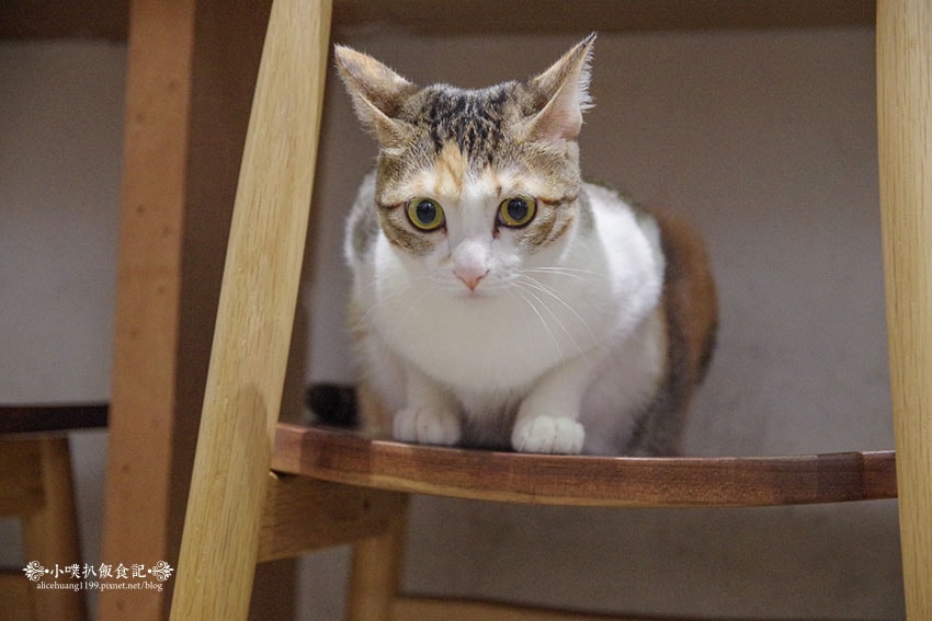 IMGP1680.jpg IMGP1680.jpg