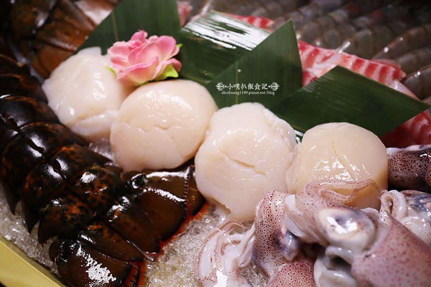 IMG_8569.jpg IMG_8569.jpg