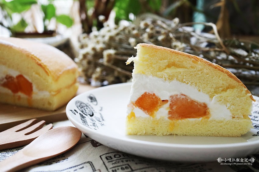 IMG_9559.jpg IMG_9559.jpg