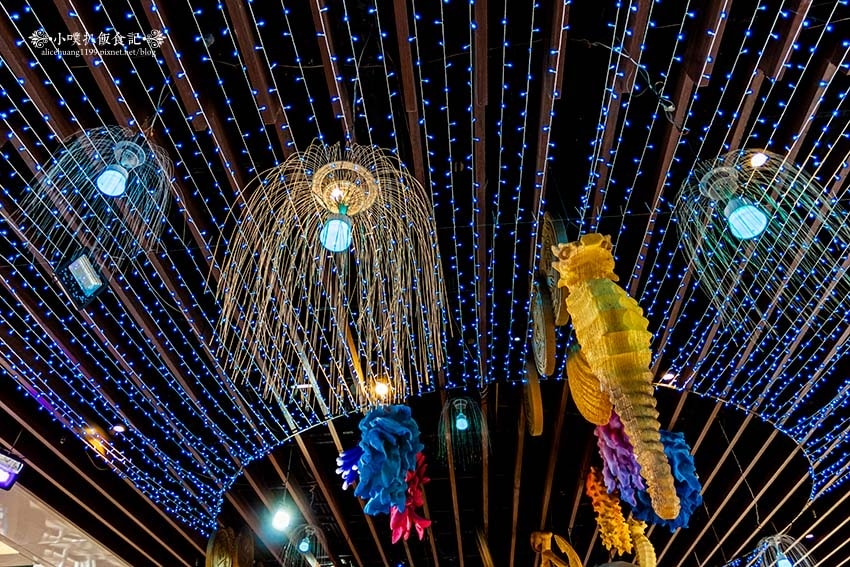 IMGP2764.jpg IMGP2764.jpg