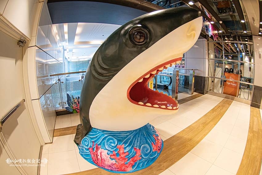 IMGP2767.jpg IMGP2767.jpg