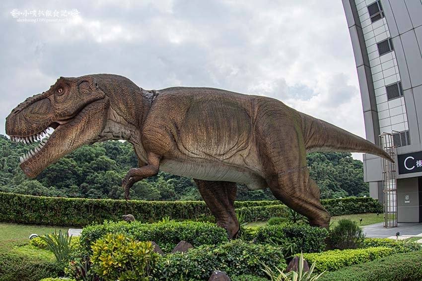 IMGP2773.jpg IMGP2773.jpg