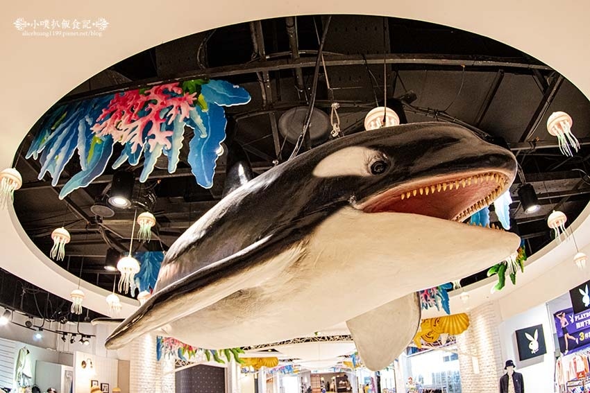 IMGP2778.jpg IMGP2778.jpg