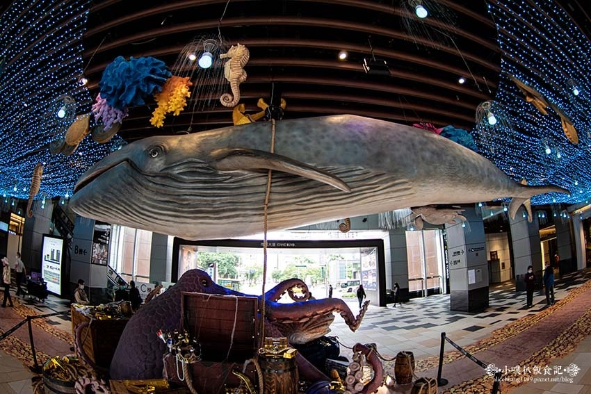 IMGP2756.jpg IMGP2756.jpg