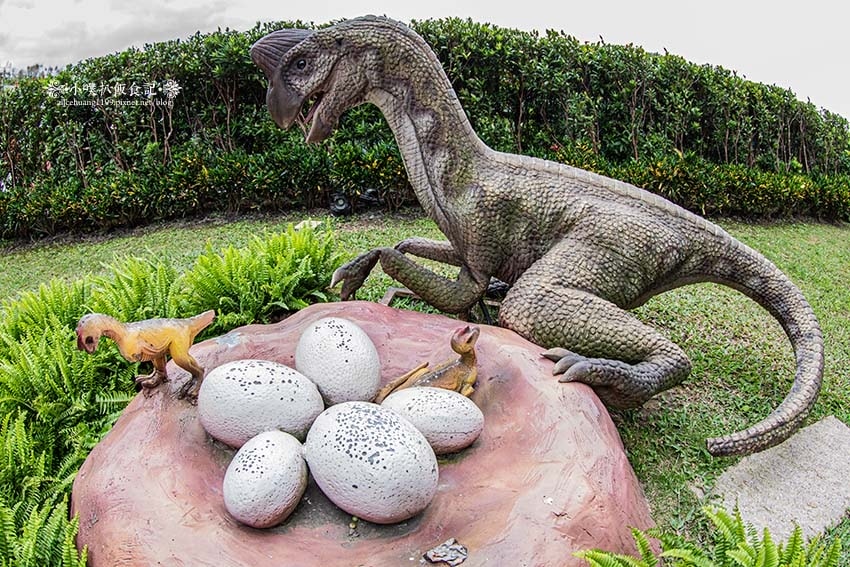 IMGP2775.jpg IMGP2775.jpg