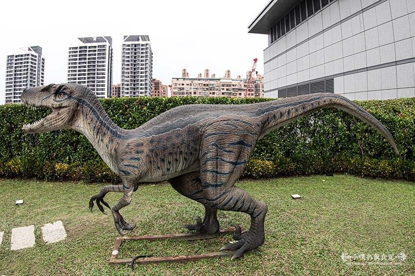 IMGP2770.jpg IMGP2770.jpg