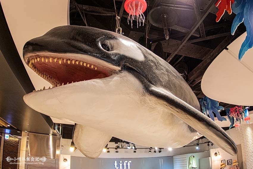 IMGP2777.jpg IMGP2777.jpg