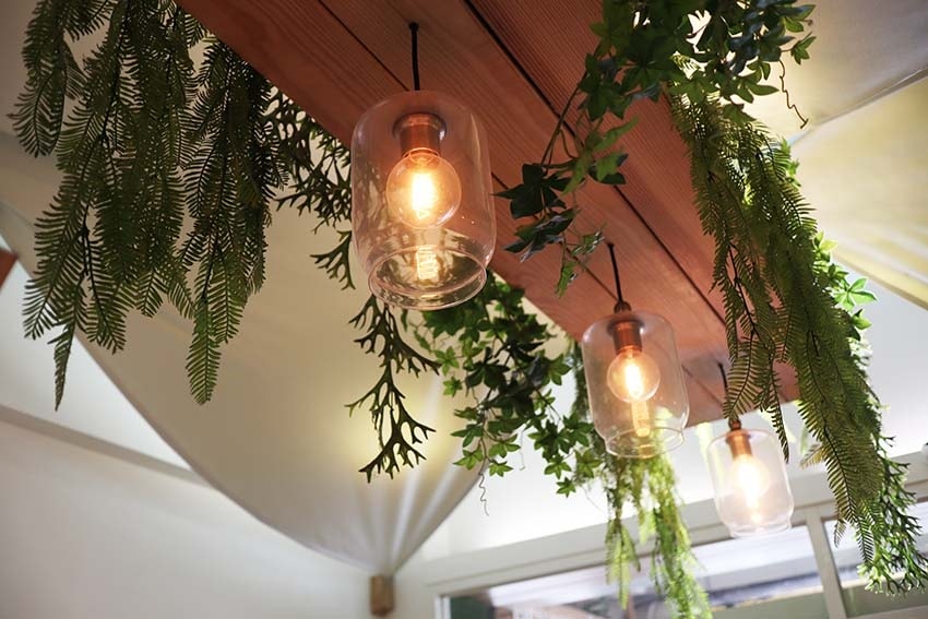 IMG_6434.jpg IMG_6434.jpg