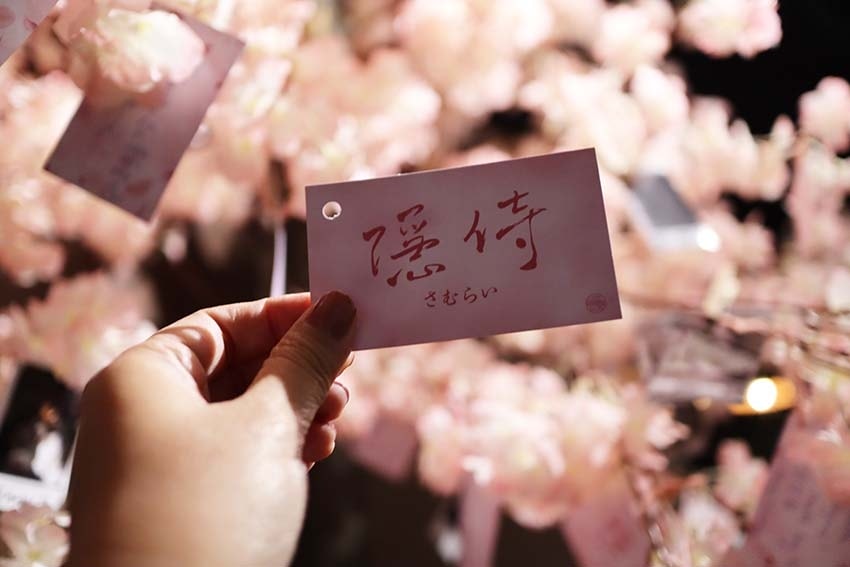 IMG_8199.jpg IMG_8199.jpg