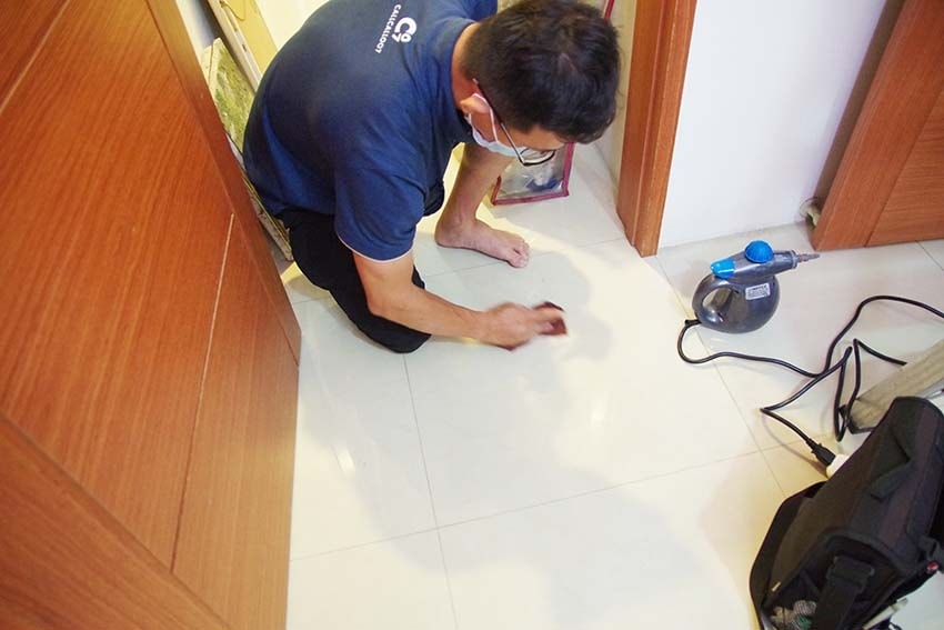 IMGP4319.jpg IMGP4319.jpg