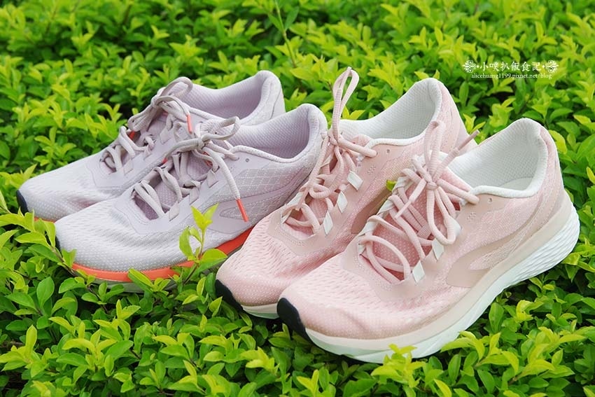 IMGP4381.jpg IMGP4381.jpg