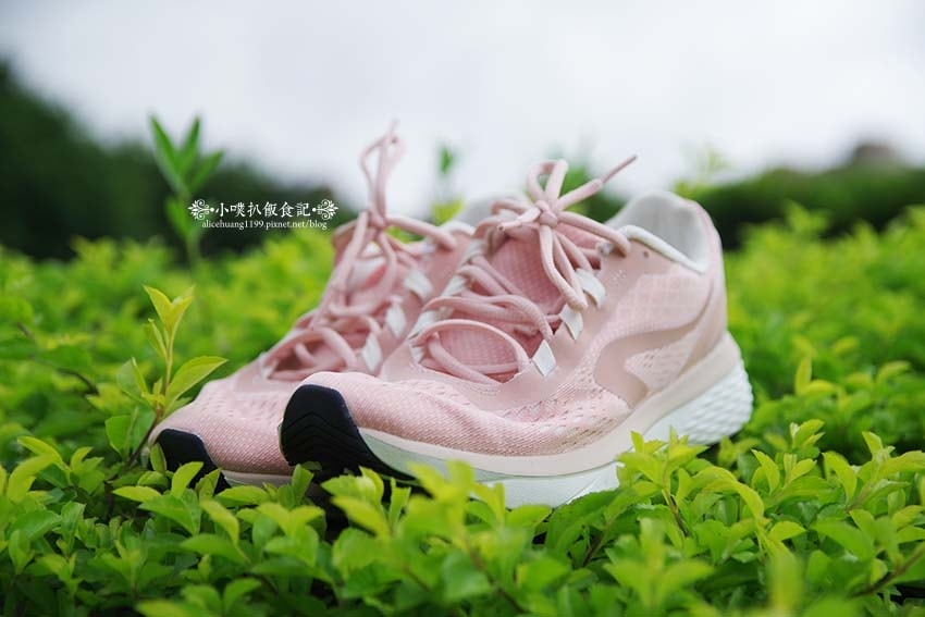 IMGP4383.jpg IMGP4383.jpg