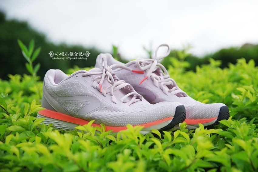 IMGP4378.jpg IMGP4378.jpg