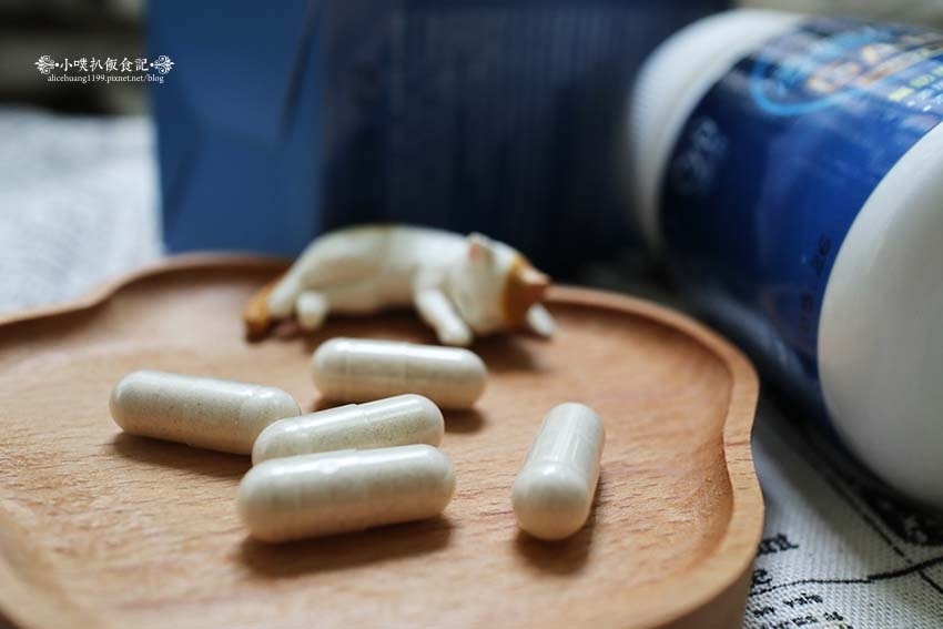 IMG_0911.jpg IMG_0911.jpg