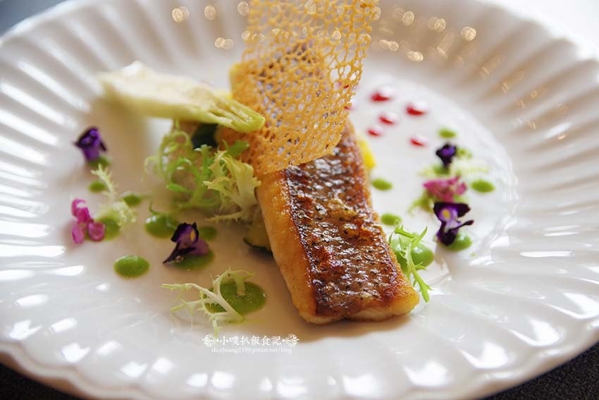 IMGP5077.jpg IMGP5077.jpg