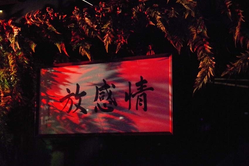 IMGP5364.jpg IMGP5364.jpg