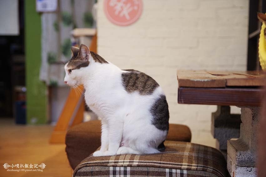 IMGP5587.jpg IMGP5587.jpg