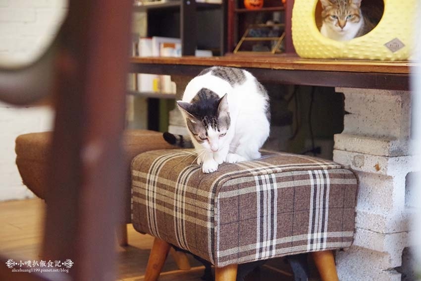 IMGP5589.jpg IMGP5589.jpg