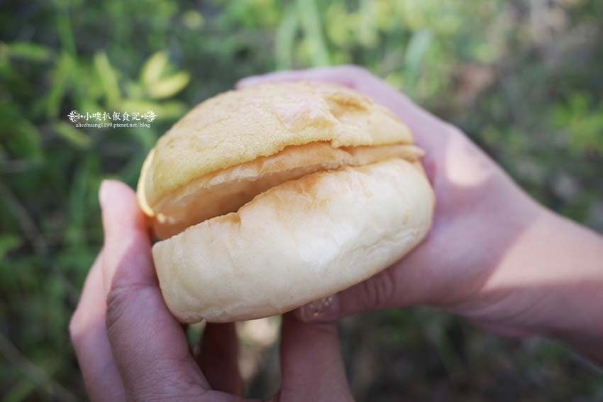 R0000973.jpg R0000973.jpg