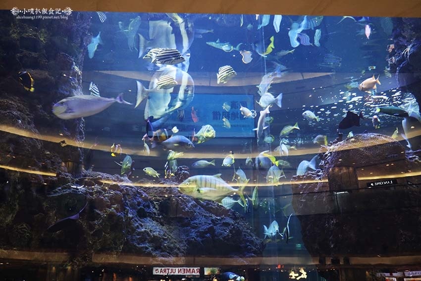 IMG_9470.jpg IMG_9470.jpg