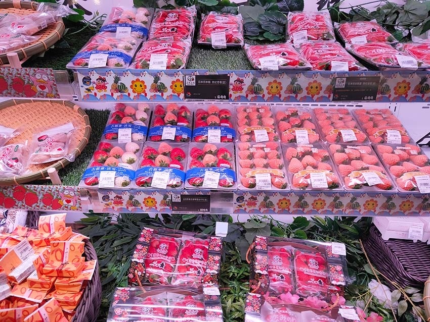 IMG20230205125832.jpg IMG20230205125832.jpg