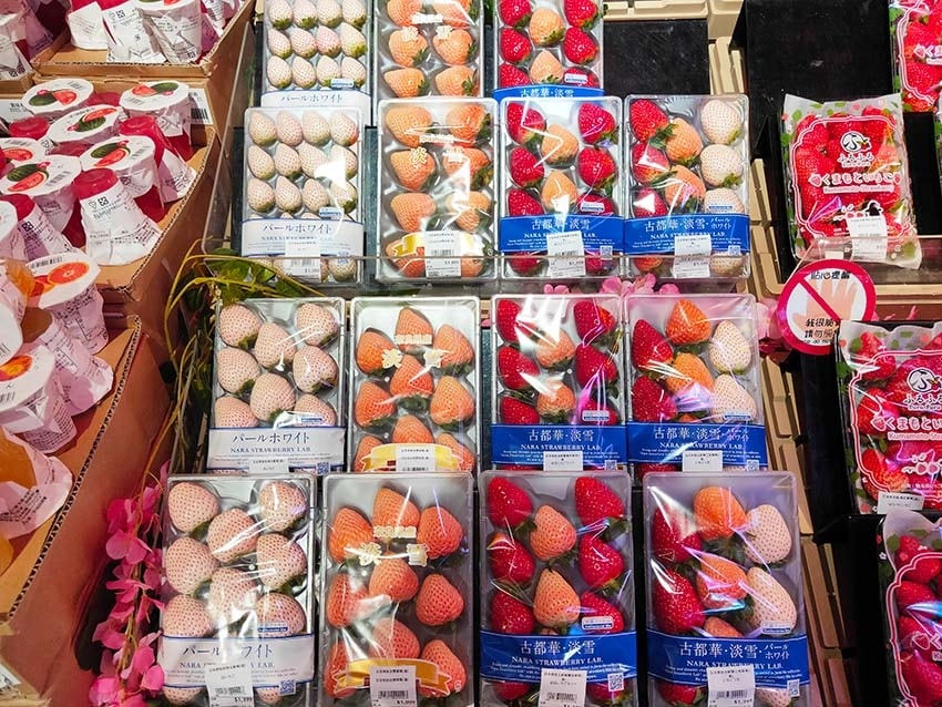 IMG20230205125130.jpg IMG20230205125130.jpg