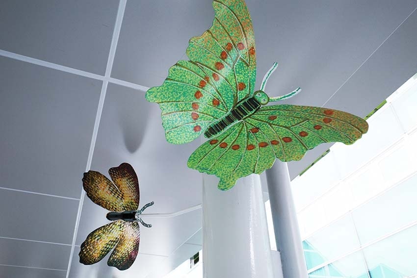 R0001650.jpg R0001650.jpg