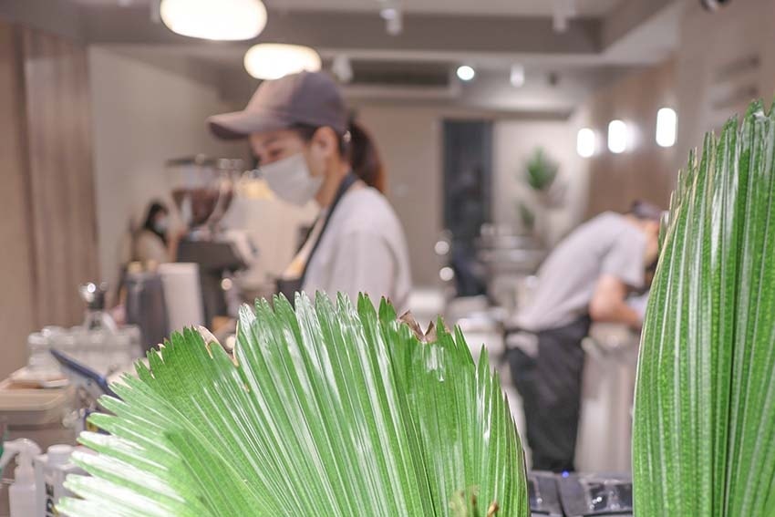 IMG_3509.jpg IMG_3509.jpg