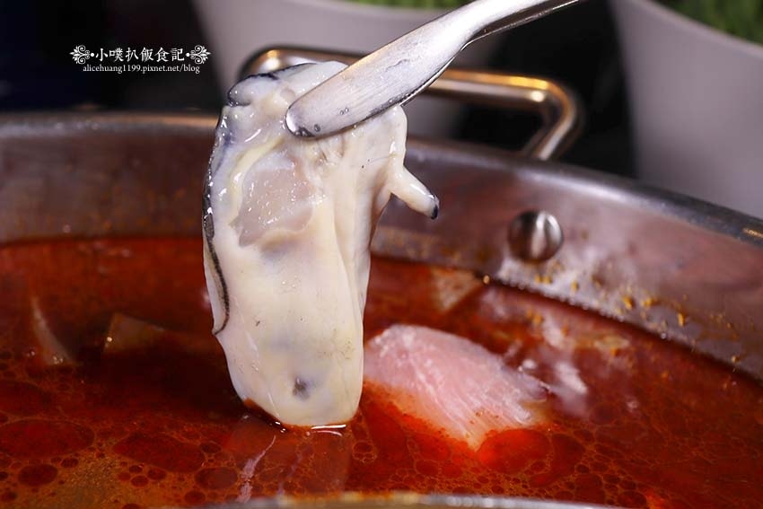 IMG_3446.jpg IMG_3446.jpg