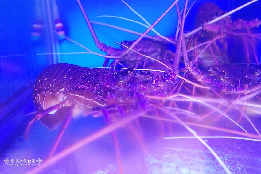 R0002667.jpg R0002667.jpg