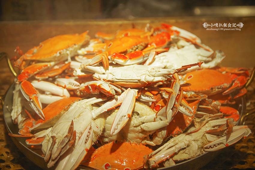 【大直美食】『大直典華 豐FOOD海陸百匯』近劍南路站/下午 【大直美食】『大直典華 豐FOOD海陸百匯』近劍南路站/下午