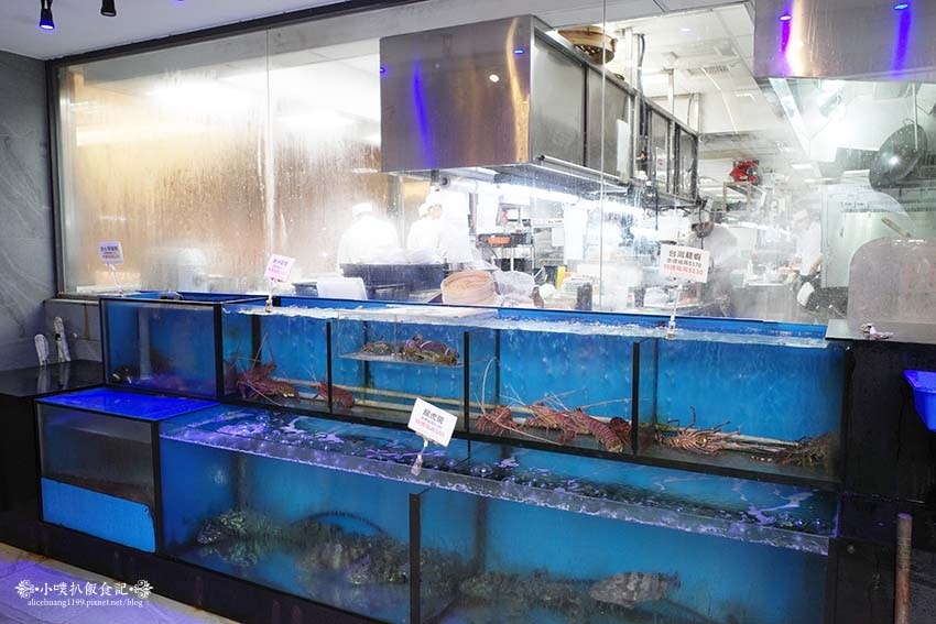 【士林美食】『典華雅聚士林店』近芝山站/粵菜港點餐廳推薦/大 【士林美食】『典華雅聚士林店』近芝山站/粵菜港點餐廳推薦/大