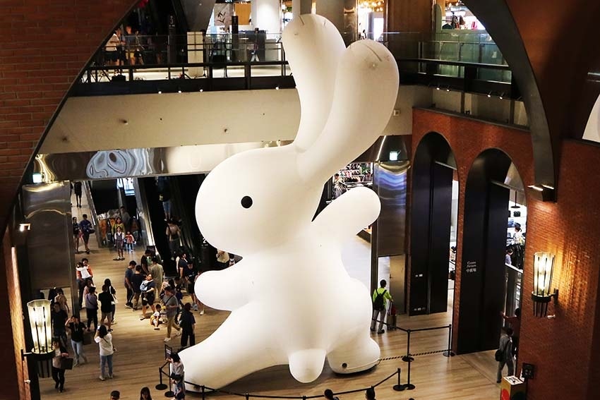 大兔.jpg 大兔.jpg