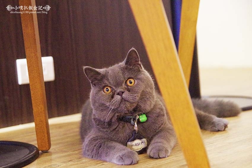 【中和咖啡廳推薦】『ZZZ Coffee Shops』近環狀 【中和咖啡廳推薦】『ZZZ Coffee Shops』近環狀