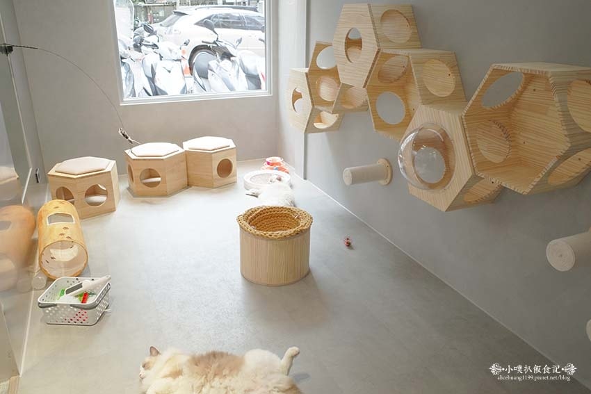 【新店咖啡廳甜點】『晒渡咖啡saiducafe』近七張站/新 【新店咖啡廳甜點】『晒渡咖啡saiducafe』近七張站/新