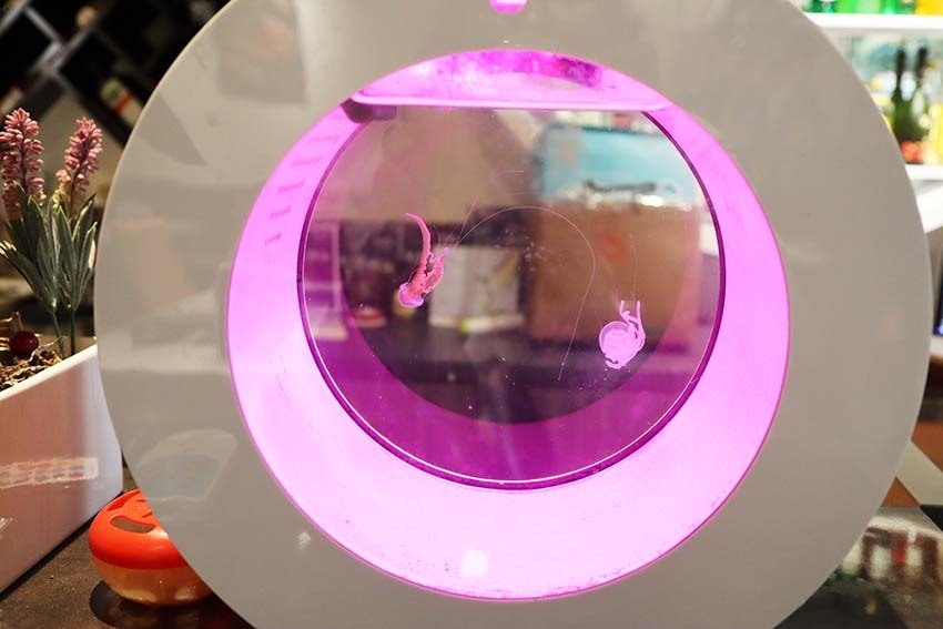 【蘆洲火鍋】『XO Shabushabu 蘆洲店』近三民高中 【蘆洲火鍋】『XO Shabushabu 蘆洲店』近三民高中