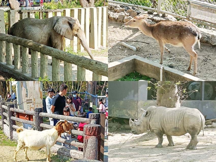 壽山動物園02.jpg 壽山動物園02.jpg