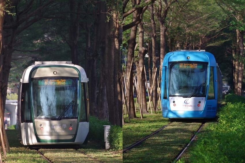 龍貓隧道.jpg 龍貓隧道.jpg