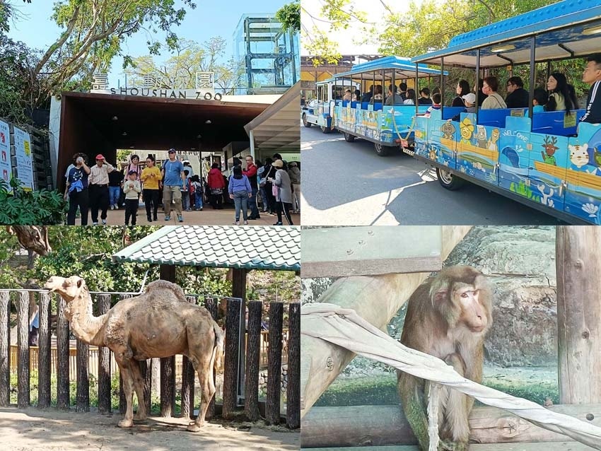 壽山動物園01.jpg 壽山動物園01.jpg