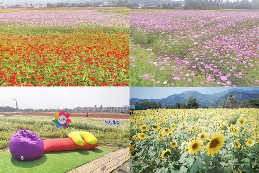 美濃花海.jpg 美濃花海.jpg