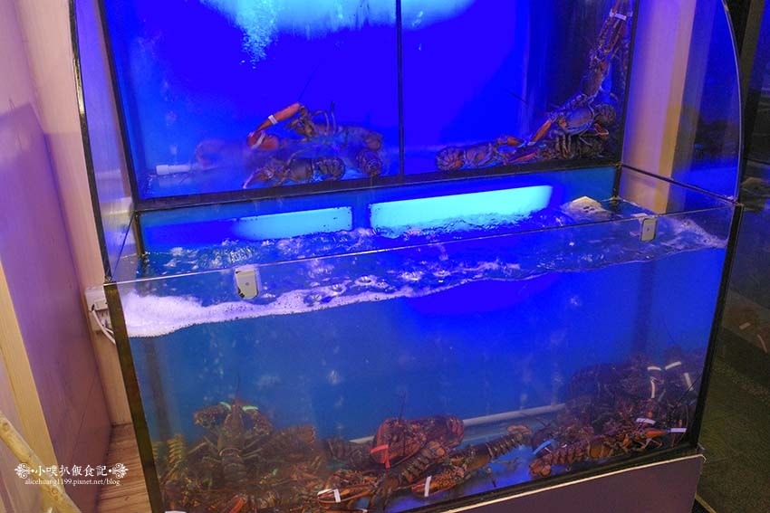 【板橋美食】『明水然·樂 板橋重慶店』2023.2024.2 【板橋美食】『明水然·樂 板橋重慶店』2023.2024.2