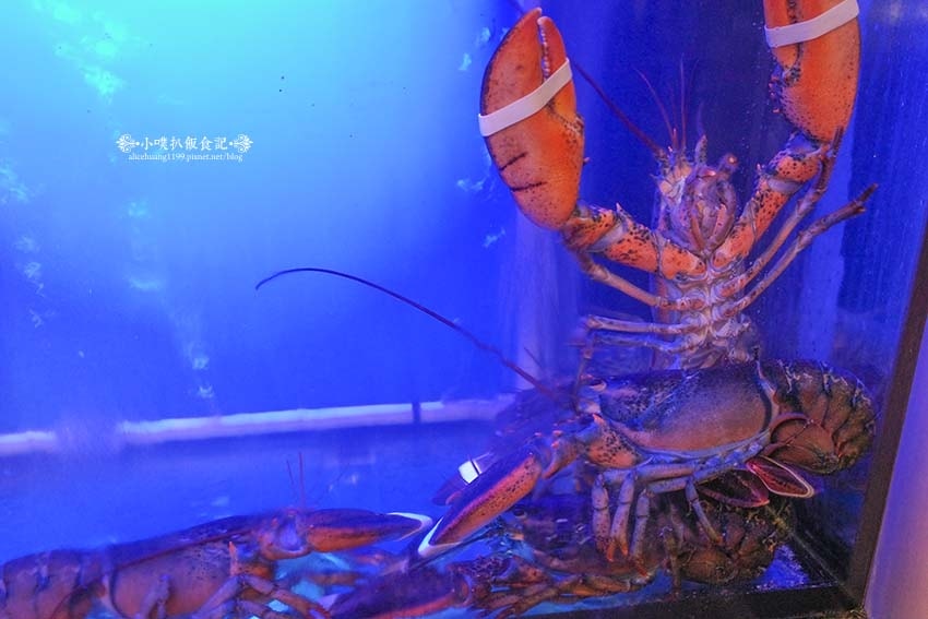 【板橋美食】『明水然·樂 板橋重慶店』2023.2024.2 【板橋美食】『明水然·樂 板橋重慶店』2023.2024.2