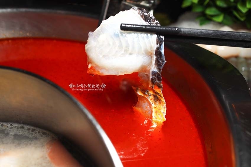 【台北麻辣火鍋】『瓦法奇朵(W.麻辣BAR)放感情』近台北車 【台北麻辣火鍋】『瓦法奇朵(W.麻辣BAR)放感情』近台北車