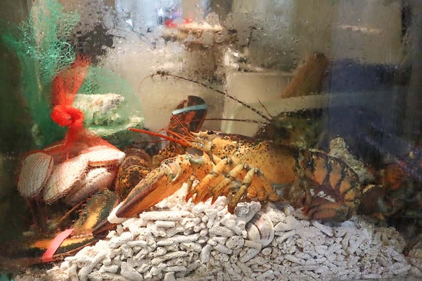 【台北信義美食】『心月懷石日本料理』近台北101/世貿站/日 【台北信義美食】『心月懷石日本料理』近台北101/世貿站/日