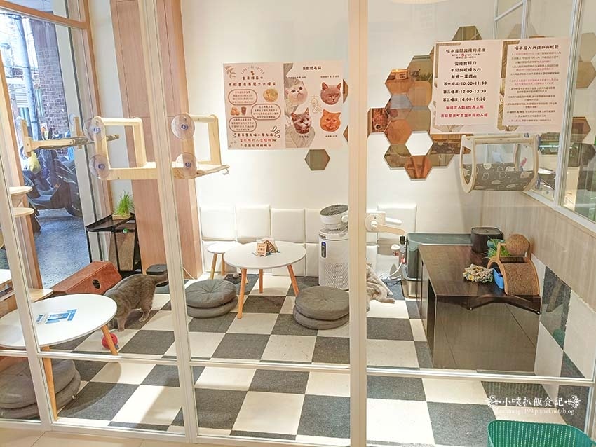 【三重咖啡廳】『古舕咖啡三重同安店』近菜寮站/貓屋預約制,單 【三重咖啡廳】『古舕咖啡三重同安店』近菜寮站/貓屋預約制,單