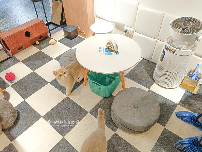 【三重咖啡廳】『古舕咖啡三重同安店』近菜寮站/貓屋預約制,單 【三重咖啡廳】『古舕咖啡三重同安店』近菜寮站/貓屋預約制,單